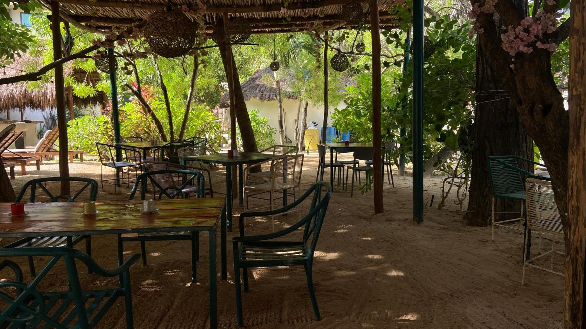 Nature Stay (Adults Only) Playa del Carmen Buitenkant foto