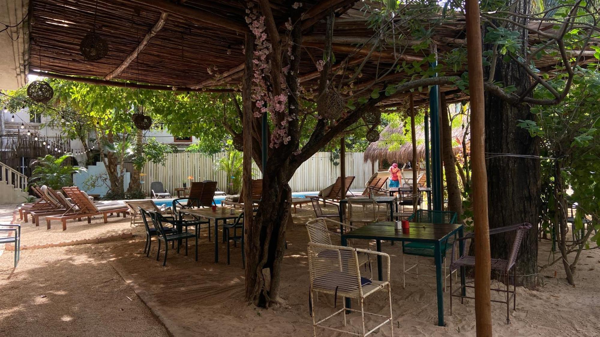 Nature Stay (Adults Only) Playa del Carmen Buitenkant foto