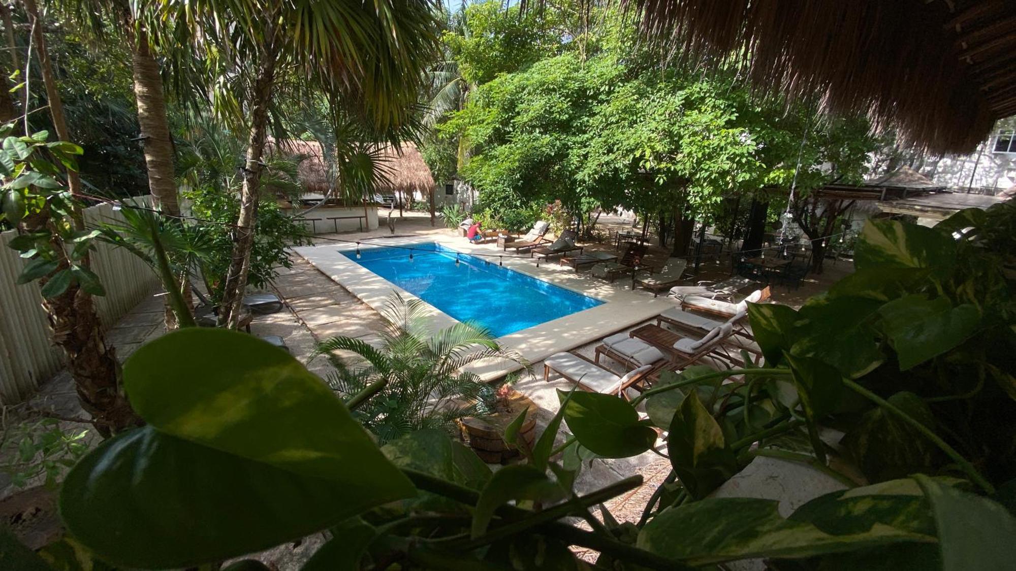 Nature Stay (Adults Only) Playa del Carmen Buitenkant foto