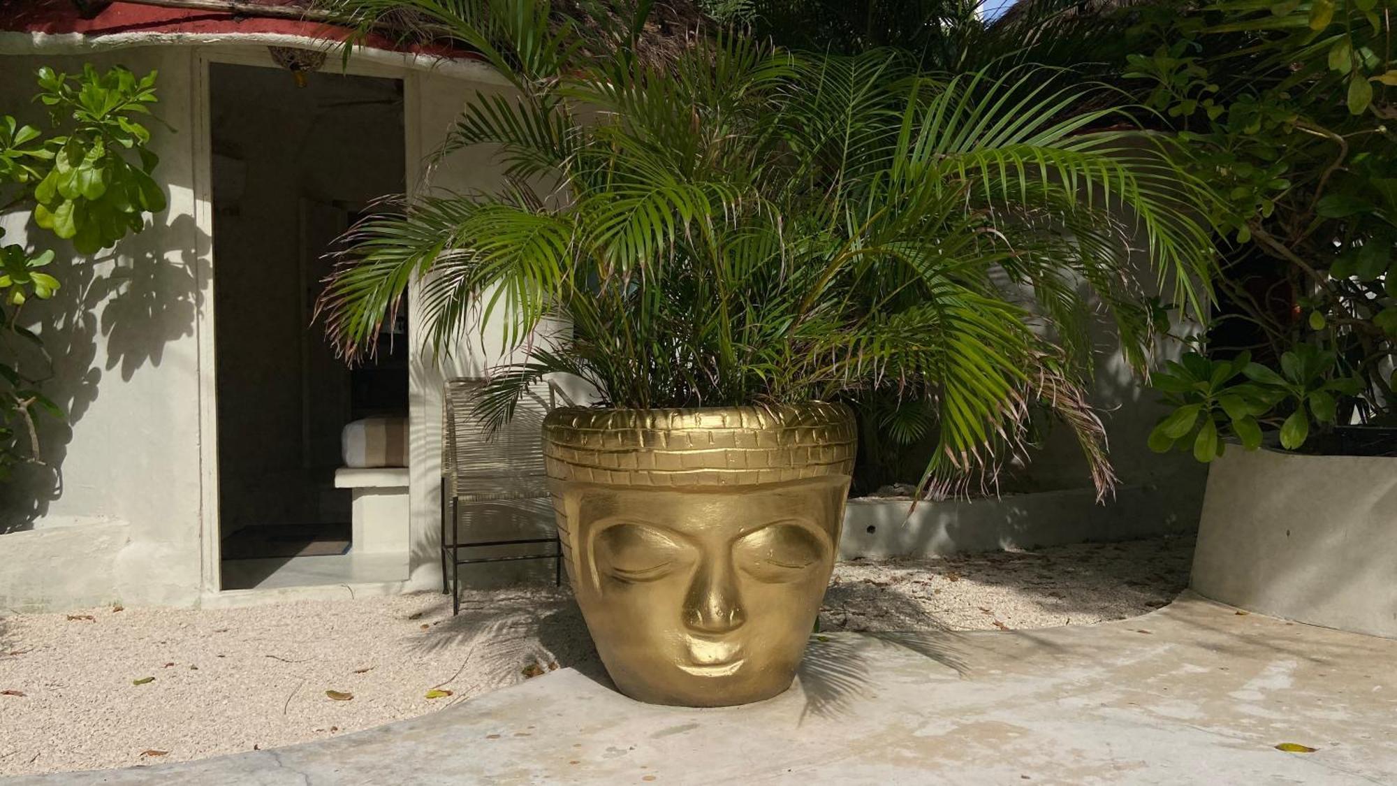 Nature Stay (Adults Only) Playa del Carmen Buitenkant foto