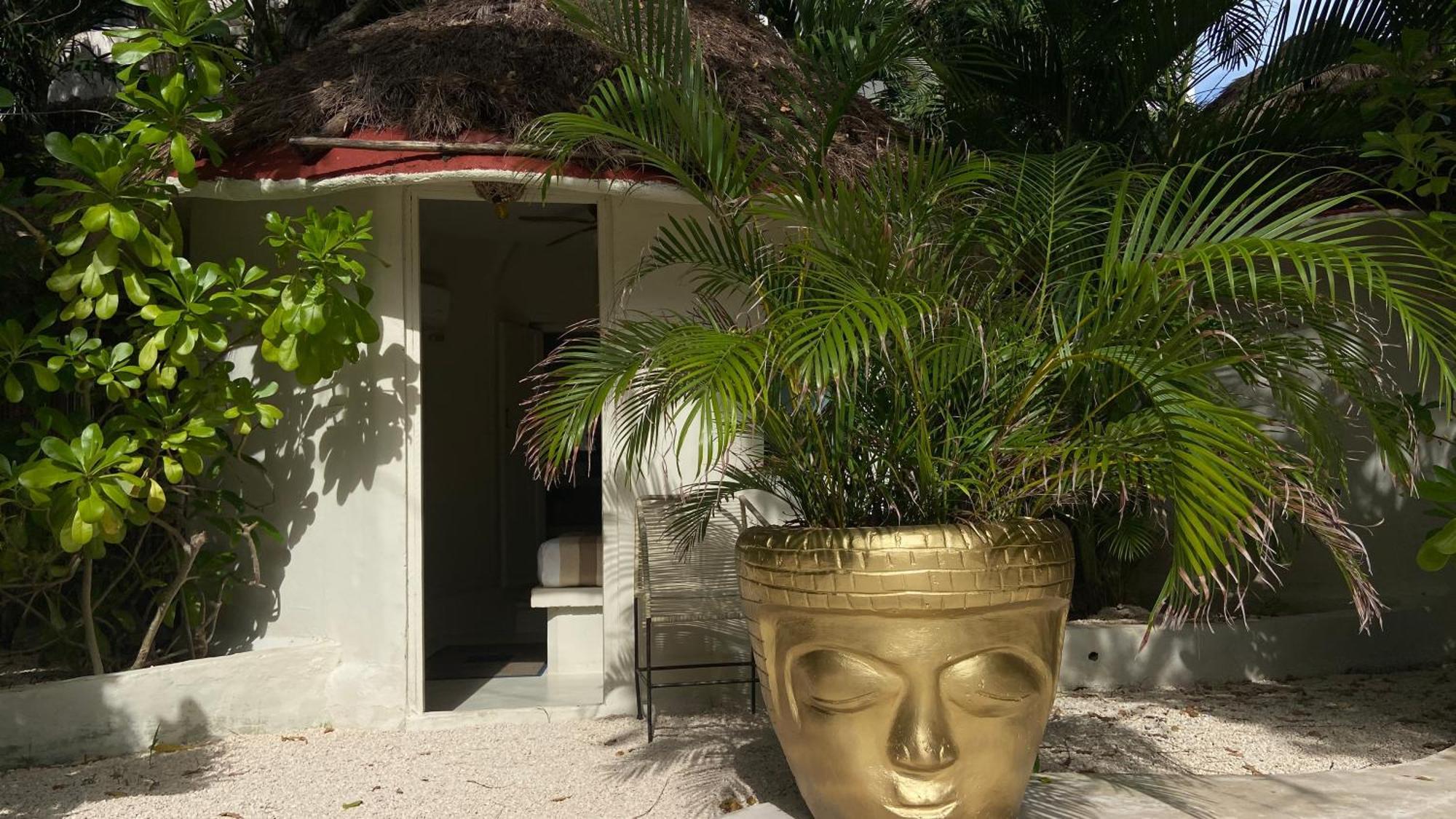 Nature Stay (Adults Only) Playa del Carmen Buitenkant foto