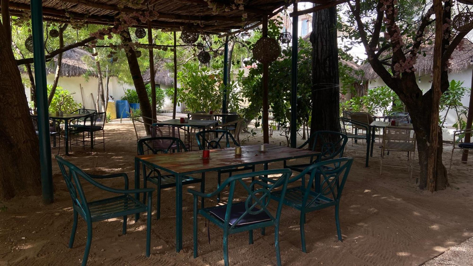 Nature Stay (Adults Only) Playa del Carmen Buitenkant foto